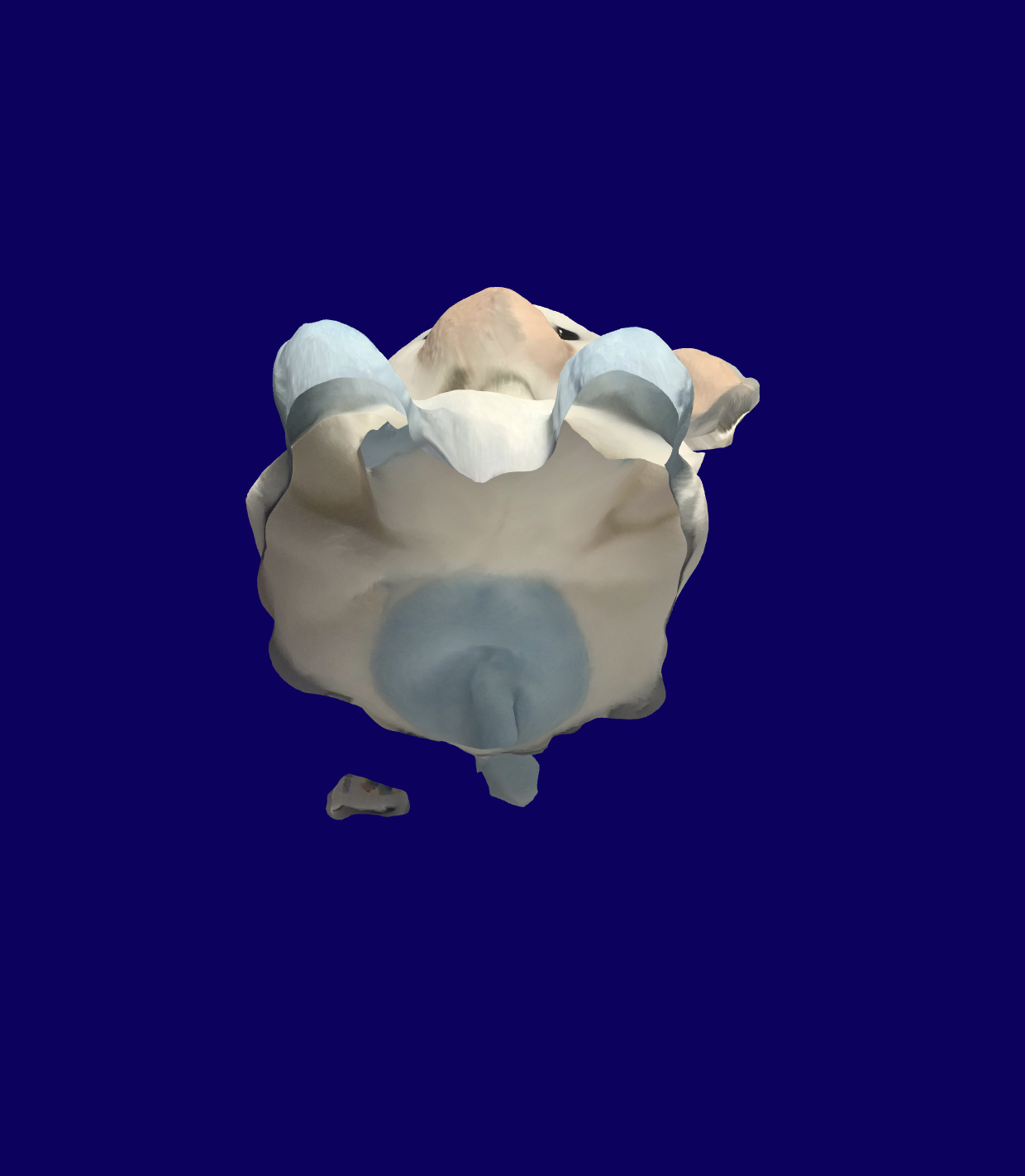 The cow 3D model displayed on the live site with a dark blue background.